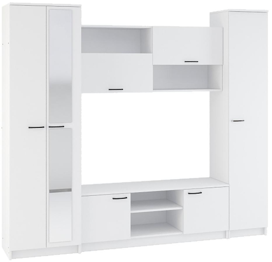 Стенка Бертелена - купить за 26620.00 руб.