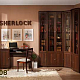 библиотека sherlock (глазов) Купить библиотека sherlock (глазов)